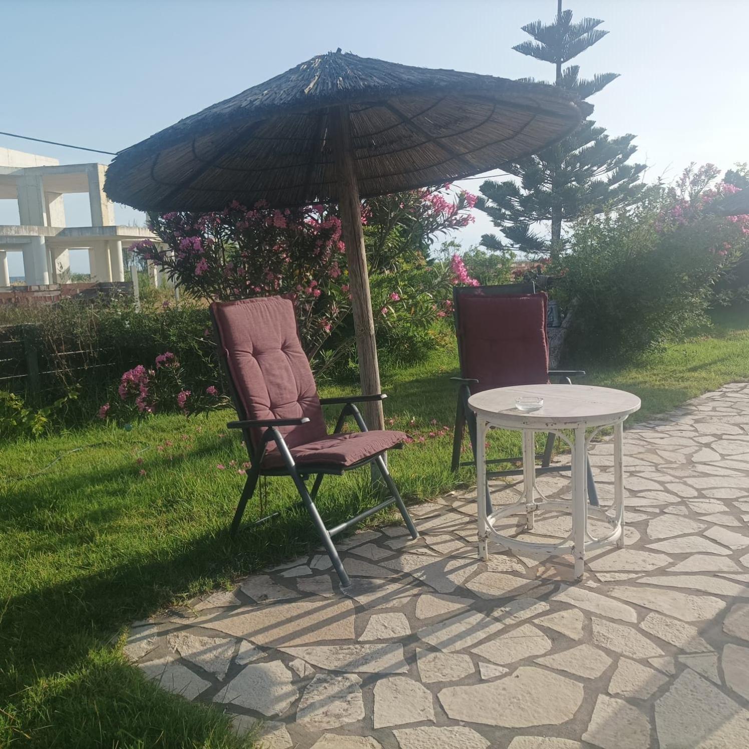 Apartamento Kyllini - Relax Down On The Beach With Pet Neochori  Exterior foto